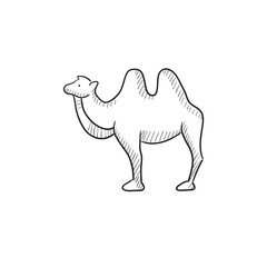 Camel sketch icon.