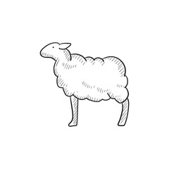 Sheep sketch icon.