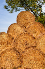 Bales of straw background