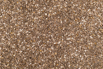 Chia Seeds Texture