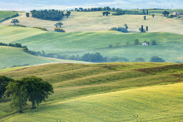 Fototapeta na wymiar morning fields in Tuscany in Italy