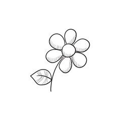 Flower sketch icon.