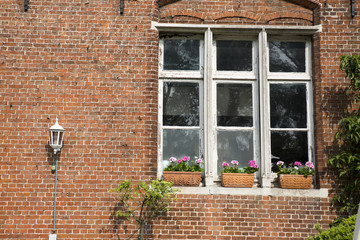 Window