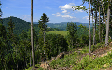 Mountains Pieniny in Slovakia and Poland