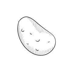 Potato sketch icon.
