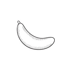 Banana sketch icon.