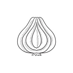 Garlic sketch icon.