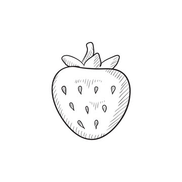 Strawberry sketch icon.