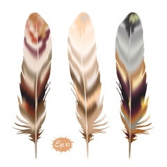 Set of color feather in boho style. Vector illustration - 112564349