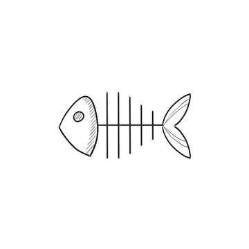 Fish skeleton sketch icon.