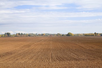 Fototapeta na wymiar Agircutural field with brown soil