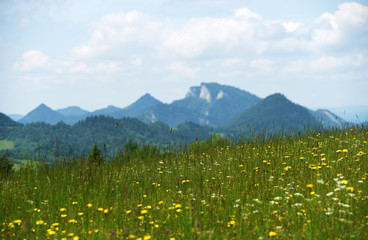 Mountains Pieniny in Slovakia and Poland © luzkovyvagon.cz