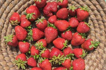 strawberries