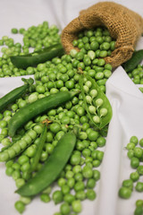 Fresh raw green beans in jute cloth