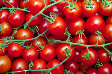 fresh red tomatoes