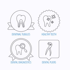 Healthy teeth, dentinal tubules and pliers icons.