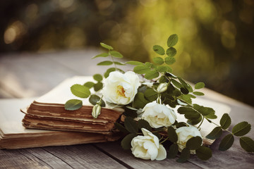 Dogrose on the open books on a wooden table