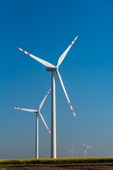 Windmills on the rape field