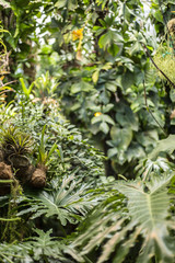 Ogród Botaniczny © prozaque