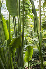 Ogród Botaniczny © prozaque