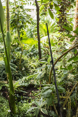 Ogród botaniczny © prozaque