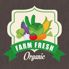 Farm fresh design. organic food icon. Colorful illustration , vector
