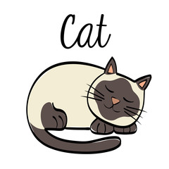 cat design. animal concept. flat illustration , vector