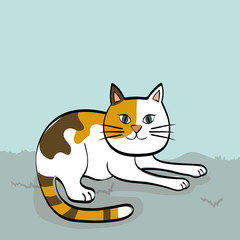 cat design. animal concept. flat illustration , vector