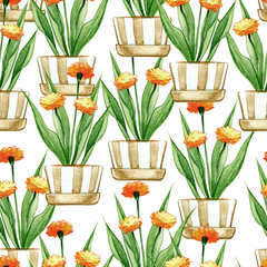 hand drawn seamless pencil illustration of  flower pots on a white background 