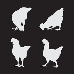 Vector image of an chicken on a black background.