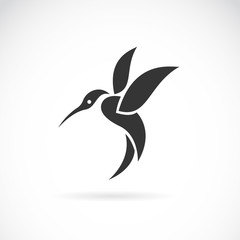Vector image of an hummingbird design on white background © yod67