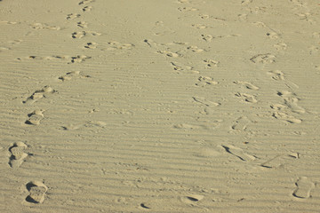 Fototapeta na wymiar sand, texture, traces of human