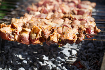 Cooking meat on the fire.