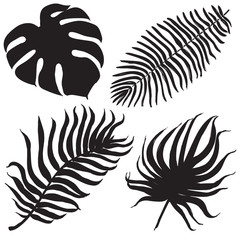 Vector set with tropical exotic leafes