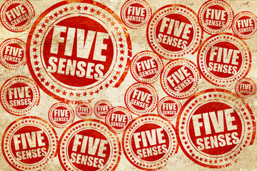 five senses, red stamp on a grunge paper texture