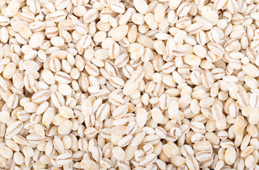 Barley Grains Background