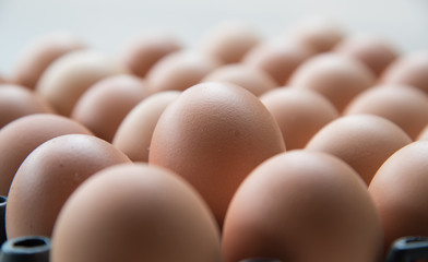 Eggs