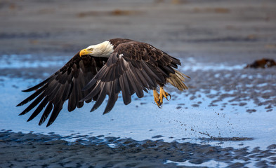Spread Eagle Open Wings Fishing