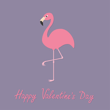 Flamingo standing on one leg. Exotic tropical bird. Zoo animal collection. Cute cartoon character. Happy Valentines day. Love greeting card. Decoration element. Flat design. Violet background.