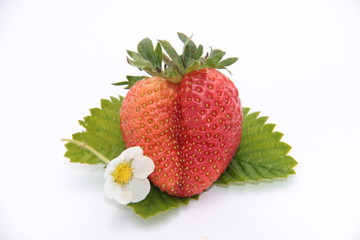 strawberry