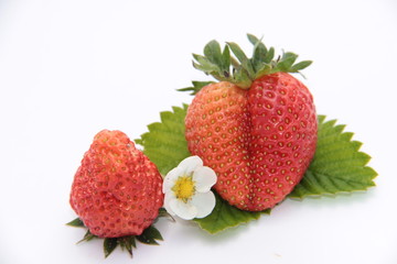 strawberry