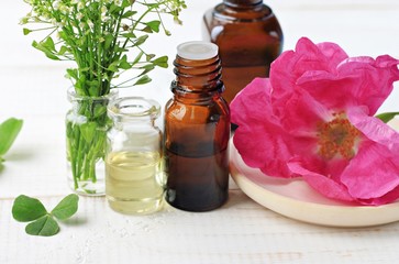 Obraz na płótnie Canvas Botanical essential oils in apothecary bottle, fresh plant, dog-rose flower. Herbal beauty care