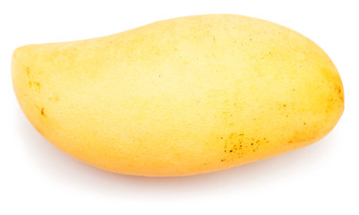 mango fruit isolated