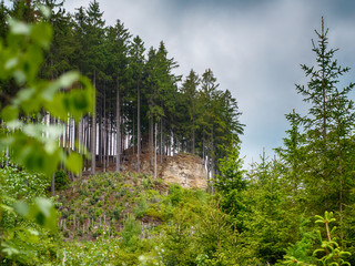 Beautiful mountains landscape with pines in park of Adrspach-Teplice rocks. Czech Republic.