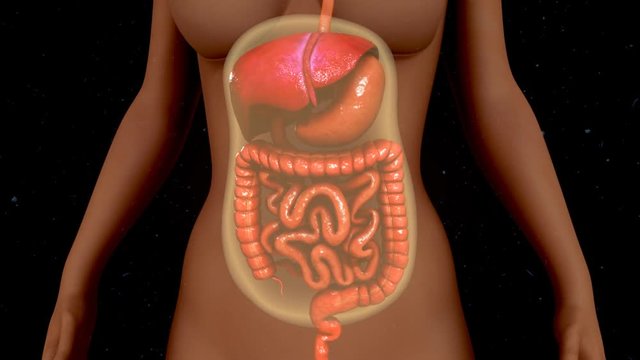 Peritoneal dialysis