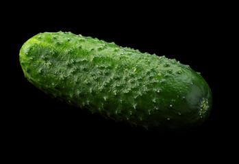 Cucumber vegetable on black