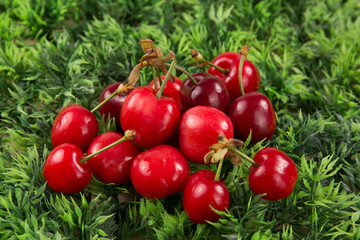 Sweet tasty red cherry on green background