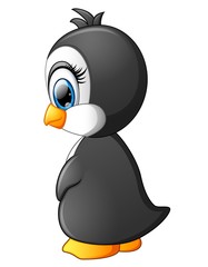 Cute baby penguin posing isolated on white background