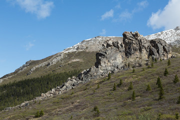 Fototapeta na wymiar Denali Landscape