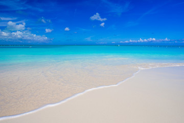 Fototapeta na wymiar Beautiful white sand beach and turquoise clean water